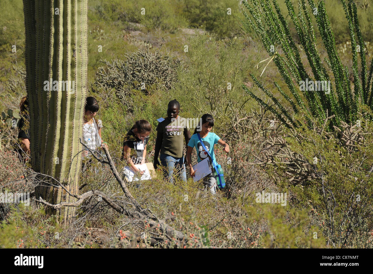 Elementary school students study the Sonoran Desert in Tucson, Arizona