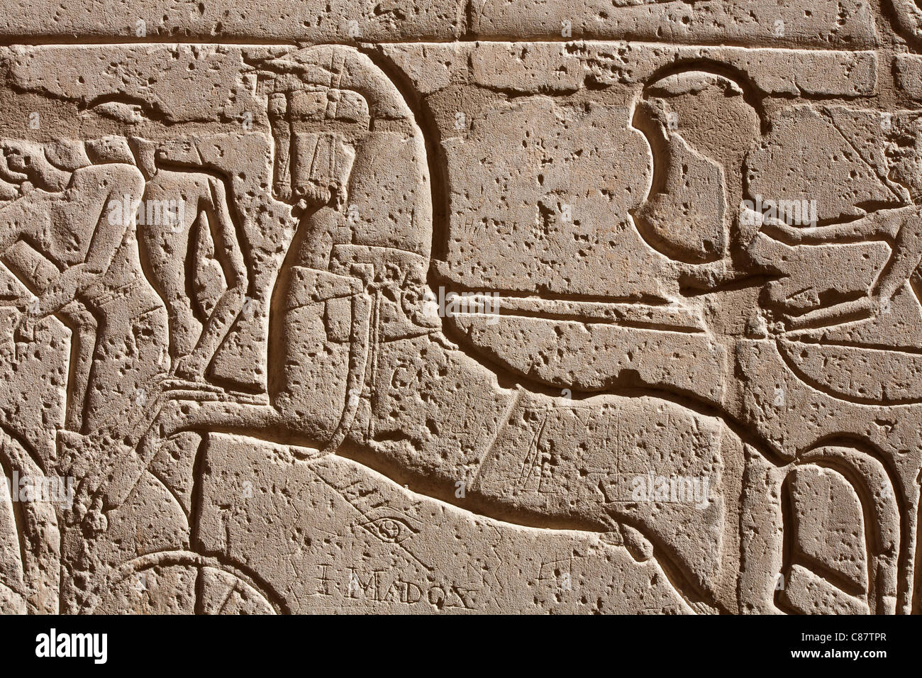 Relief work showing chariot and horses in military campaigns of Ramesses II at the Ramesseum, Luxor Egypt Stock Photo