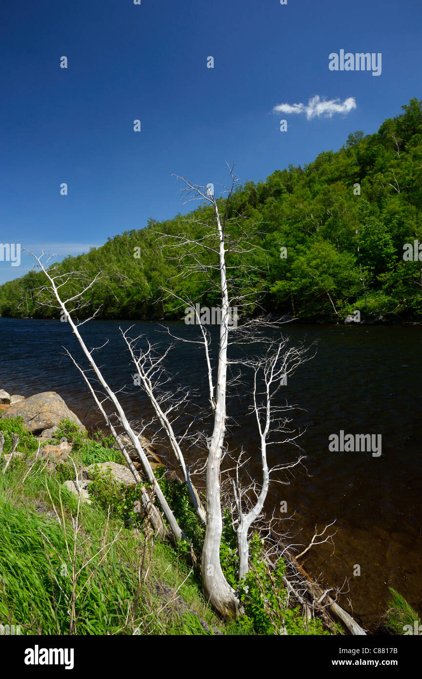 North elba hires stock photography and images Alamy