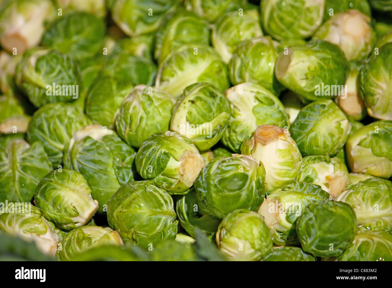 Lots of brussels sprout vegetables on the market Stock Photo