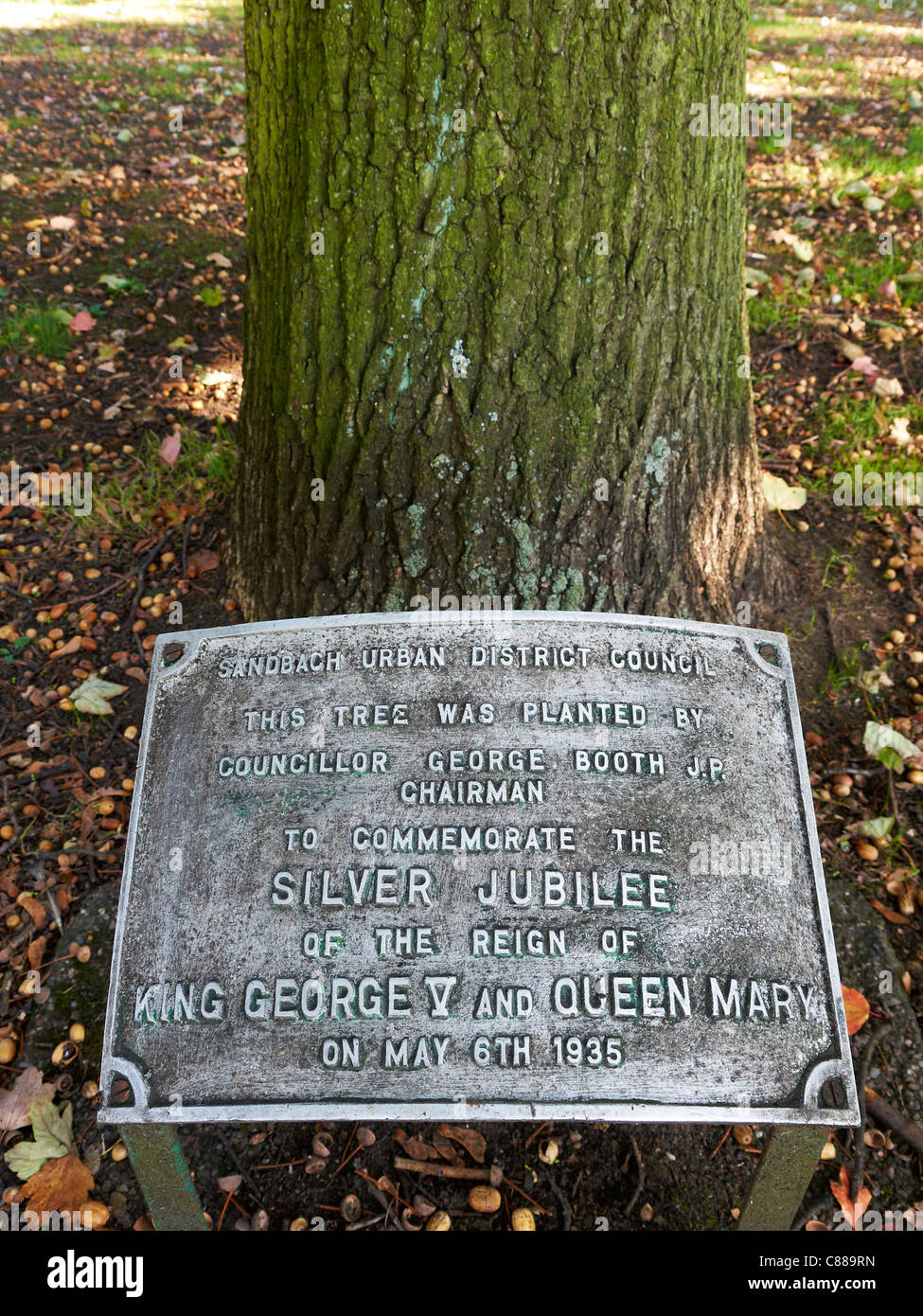 Sandbach park Cheshire plaque marking oak tree planted for King George and Queen Mary in 1935 by George Booth Stock Photo