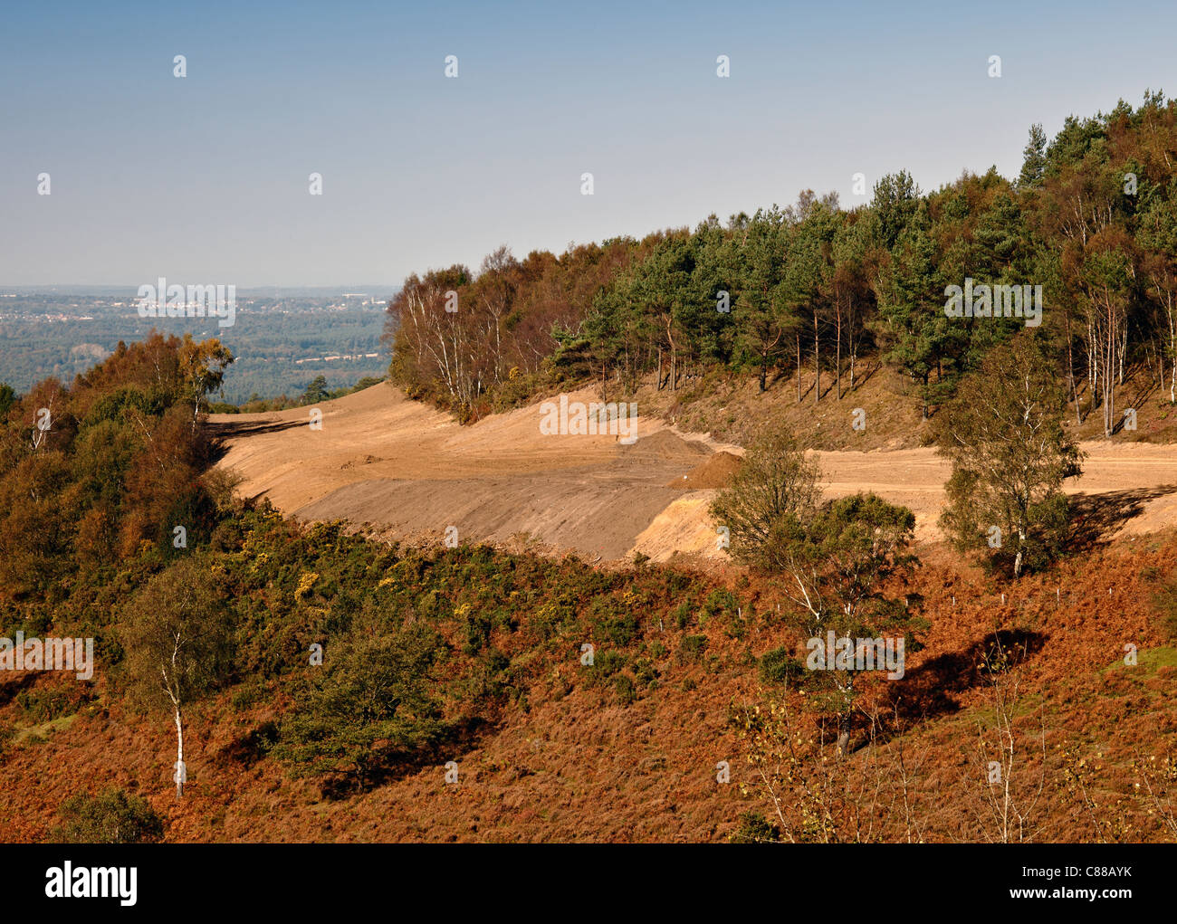 The location of the old A3 London to Portsmouth road at Hindhead, shortly after being restored back to heathland. Oct 2011. Stock Photo
