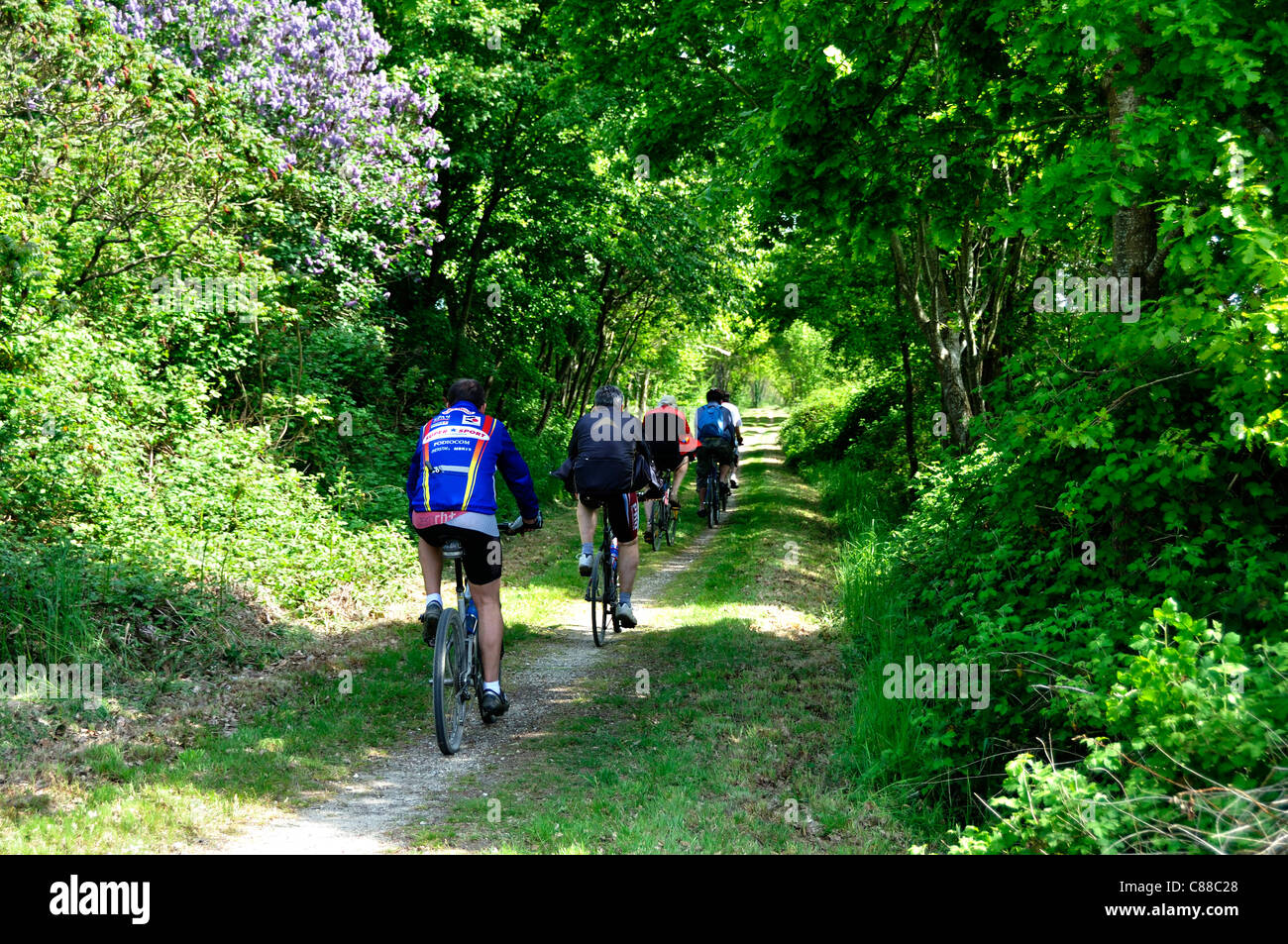 Cyclists on the Voie Verte, green way Domfront to Flers (Orne, Normandy, France). Stock Photo