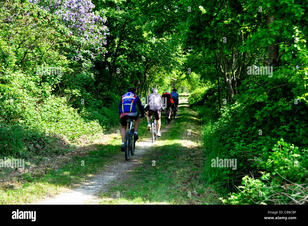 Cyclists on the Voie Verte, greenway Domfront to Flers (Orne, Normandy, France). Stock Photo