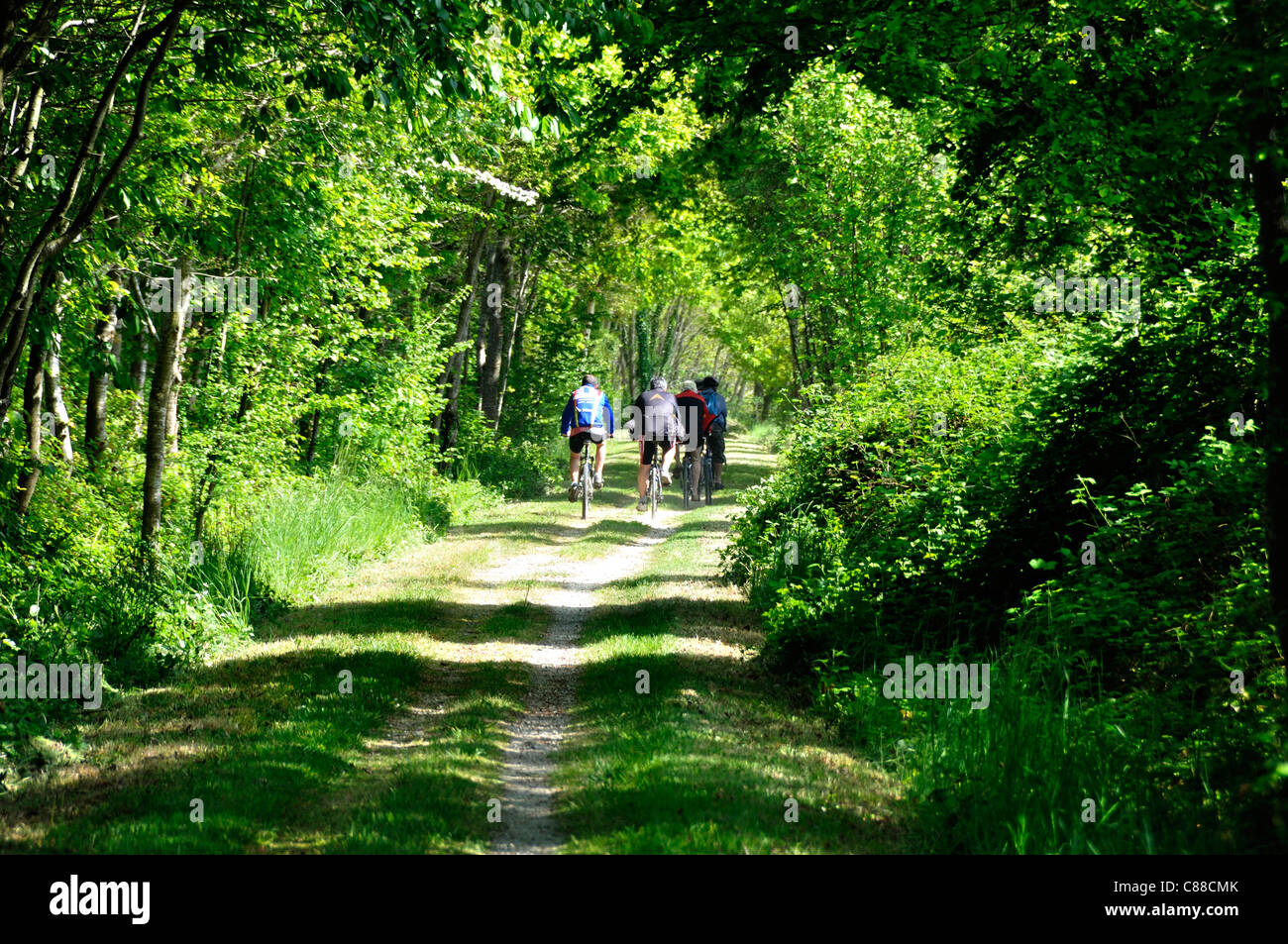 Cyclists on the Voie Verte, green way,  Domfront to Flers (Orne, Normandy, France). Stock Photo