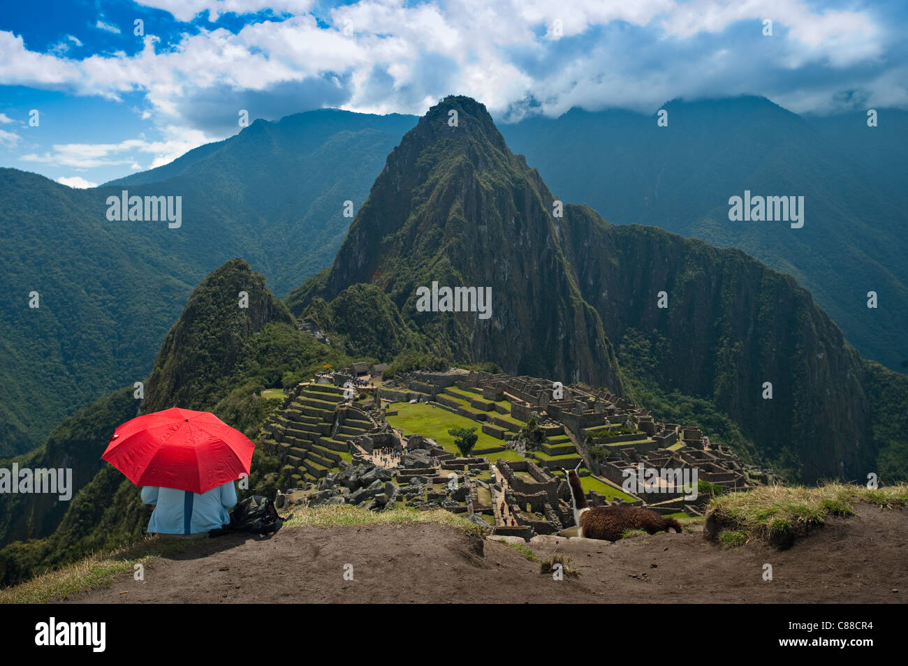 An unidentifiable tourist  and llama admiring the view at Machu Picchu. Stock Photo