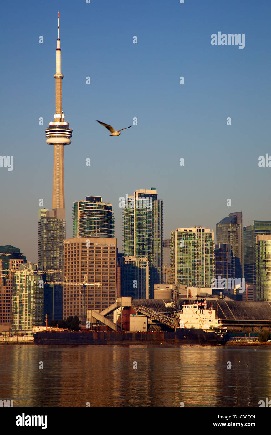 Downtown Toronto with CN-Tower Stock Photo