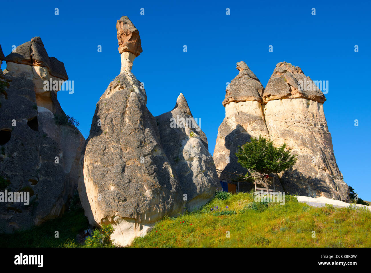 Pictures & images of the fairy chimney rock formations and rock pillars of “Pasabag Valley” near Goreme, Cappadocia, Nevsehir, Turkey Stock Photo