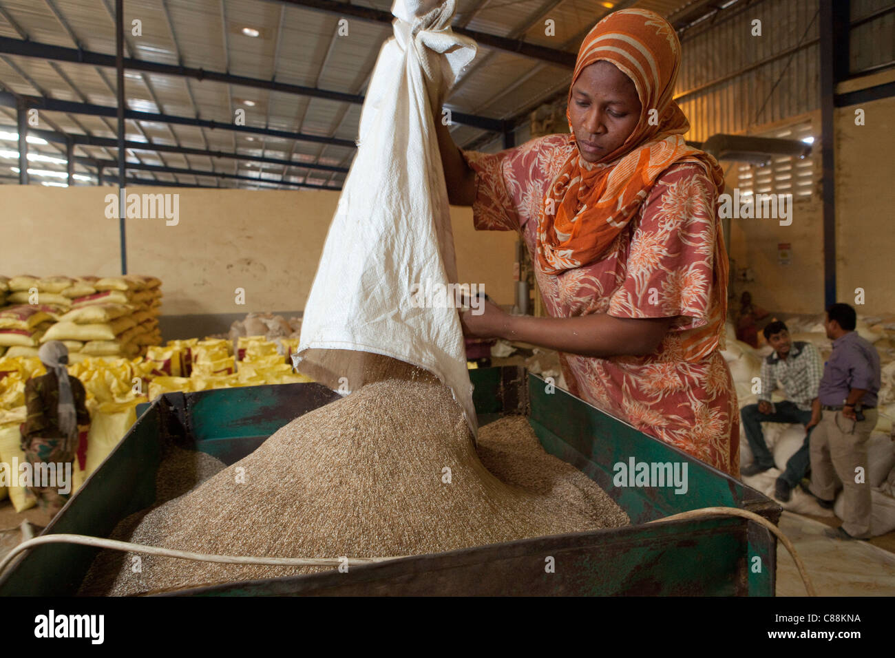 A woman winnows sesame seed in a machine at a seed processing warehouse