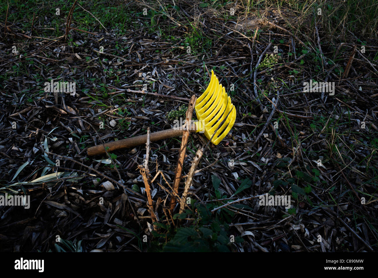 Olive picker hires stock photography and images Alamy
