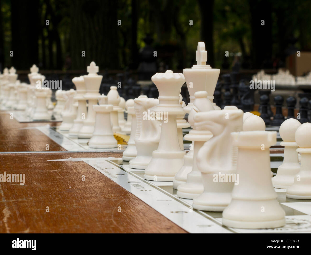 Chess Tournament in Central Park, NYC Stock Photo Alamy