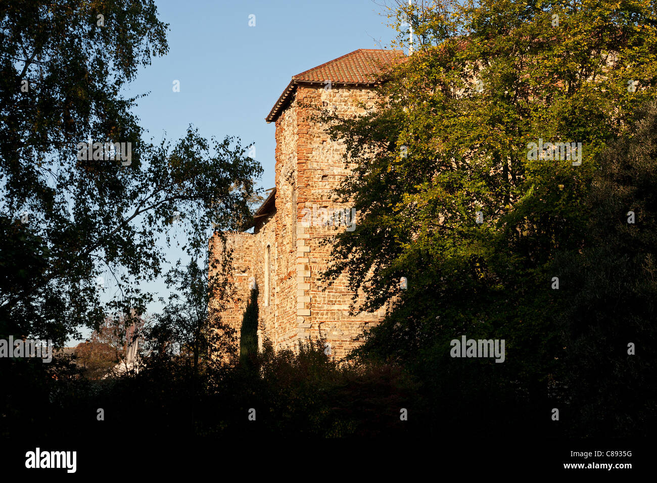 View of the Norman castle in Colchester,Essex,UK Stock Photo - Alamy