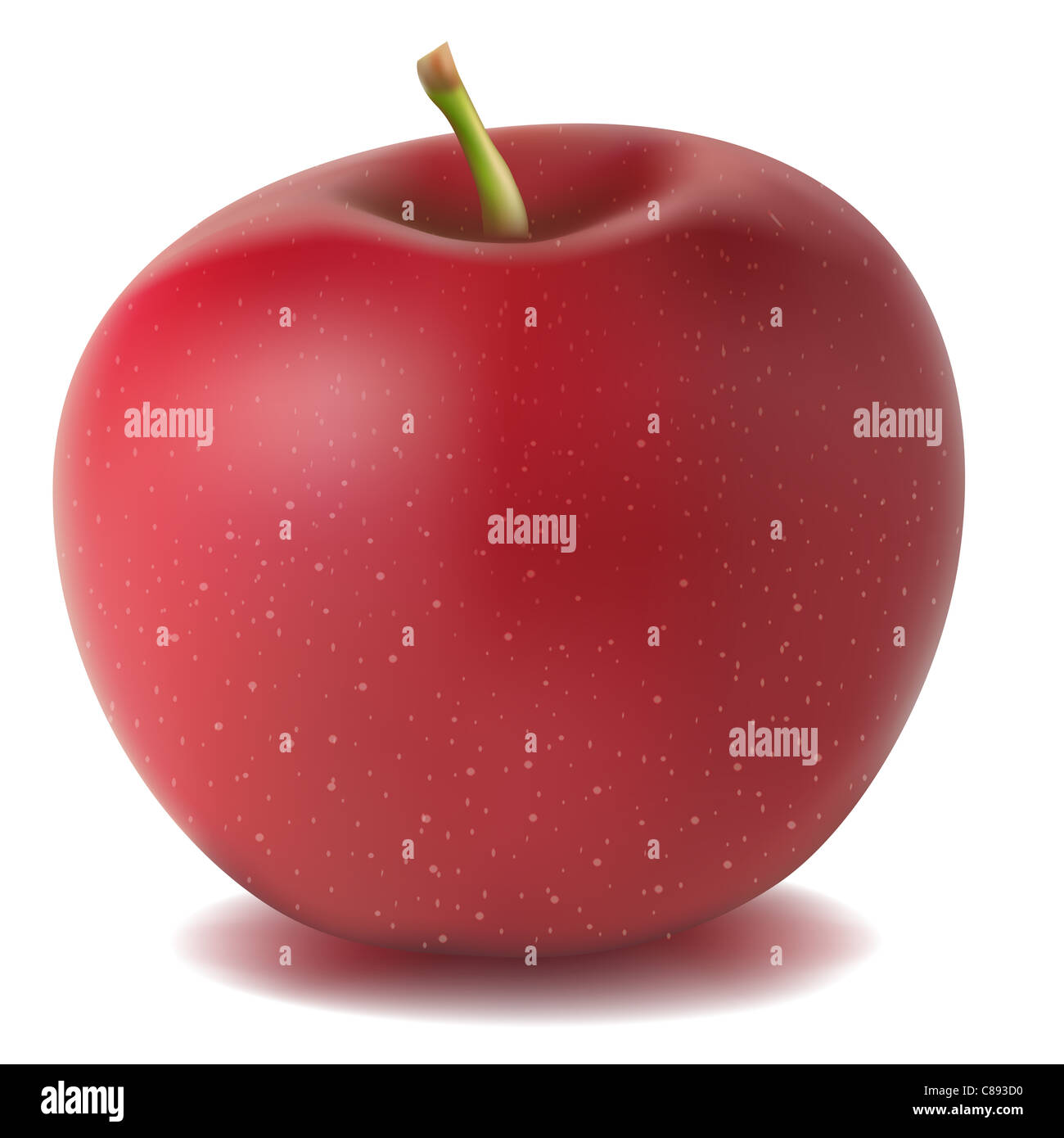 illustration of isolated realistic vector apple Stock Photo - Alamy