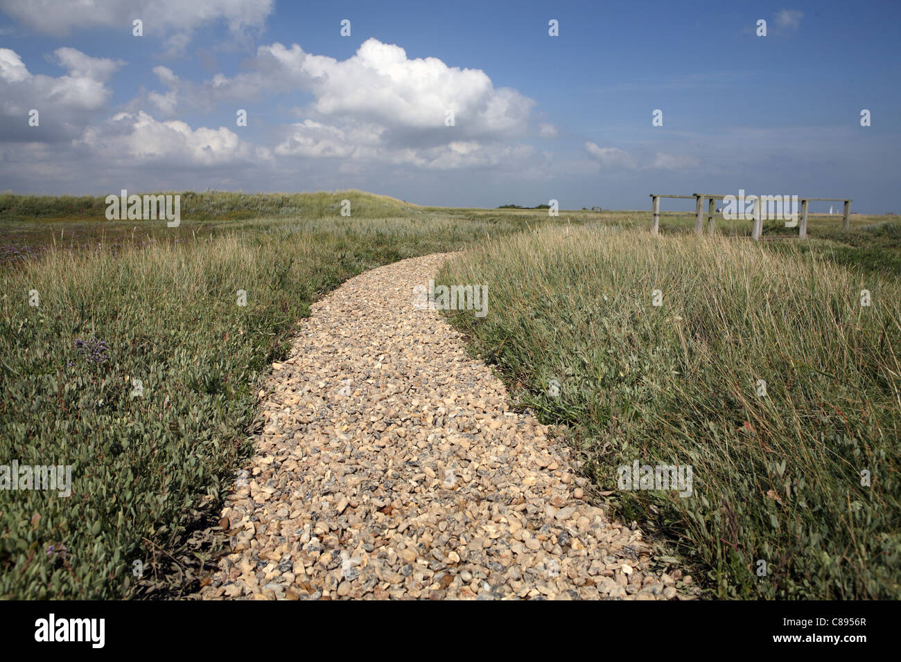 Shingle path leading ahead to vanishing point on horizon, RSBP Bird Reserve, Havergate Island, Suffolk, UK Stock Photo