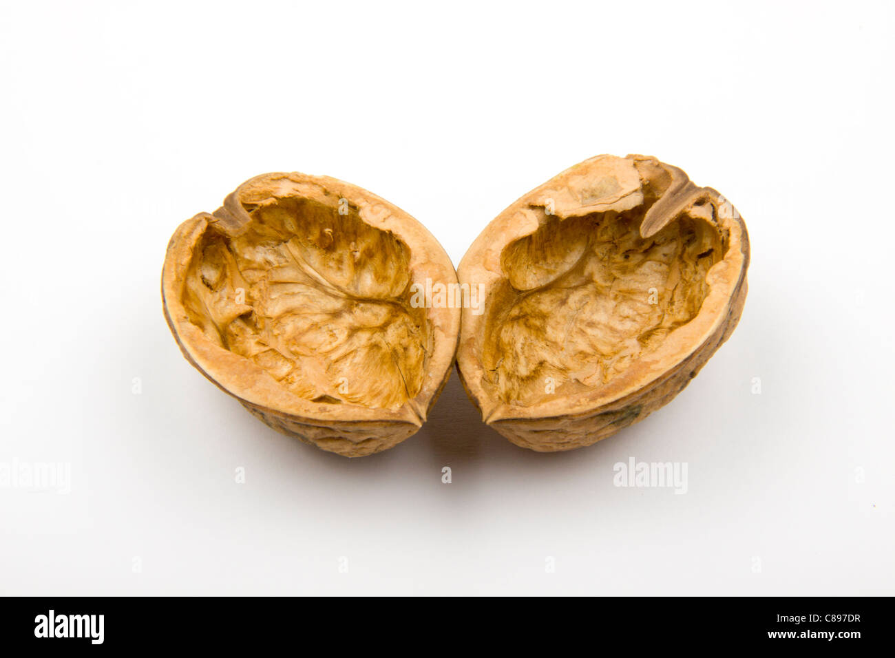 Open empty nutshell hi-res stock photography and images - Alamy
