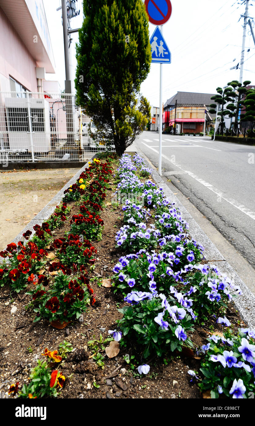 Flower beds in Hyuga, Japan Stock Photo - Alamy