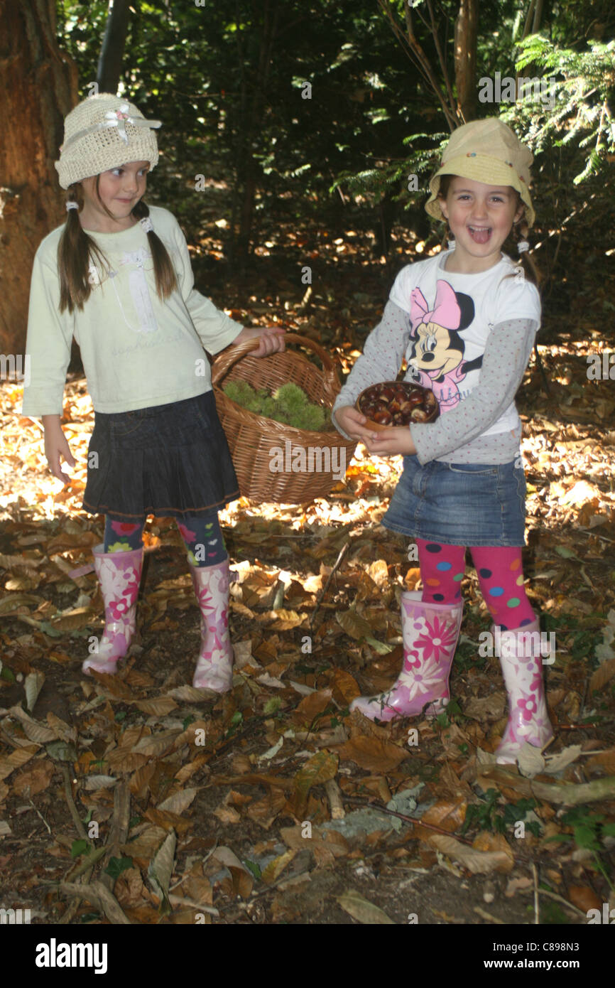 Children collecting sweet chestnuts ( Olea europea ) in a woodland, England , UK , Europe Stock Photo