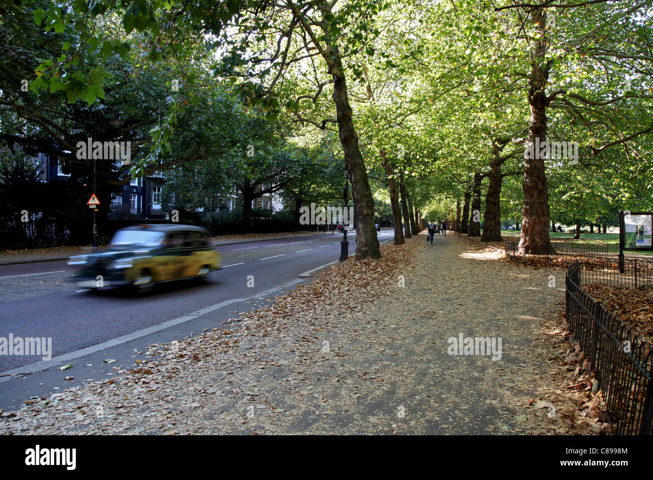 Birdcage Walk on a beautiful autumn day with yellow leaves on the ground and a taxi passing by Stock Photo