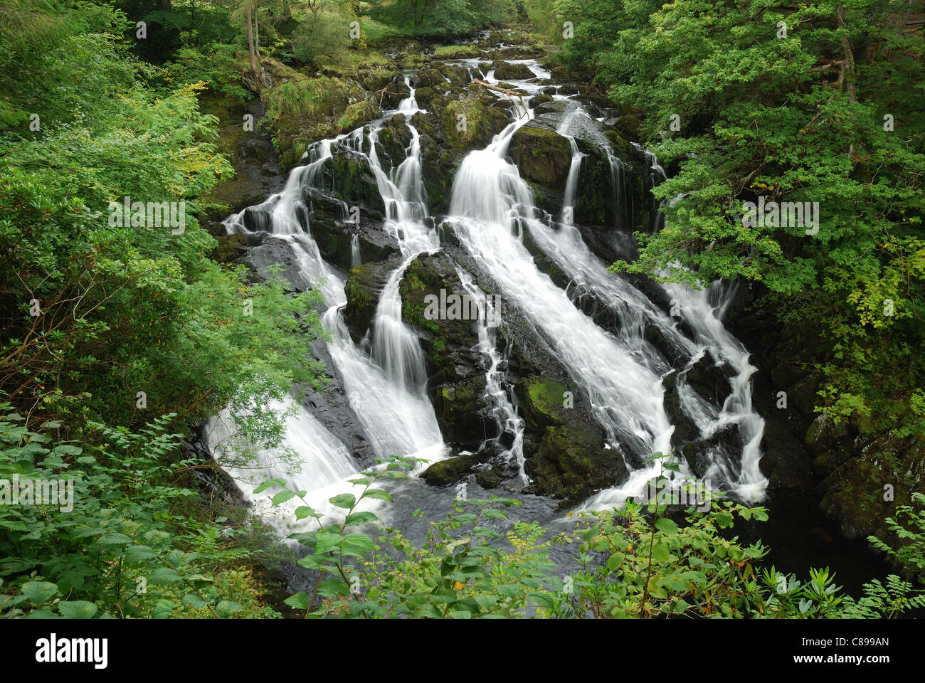 Swallow Falls, Betws-y-coed, Gwynedd, Snowdonia, Wales Stock Photo