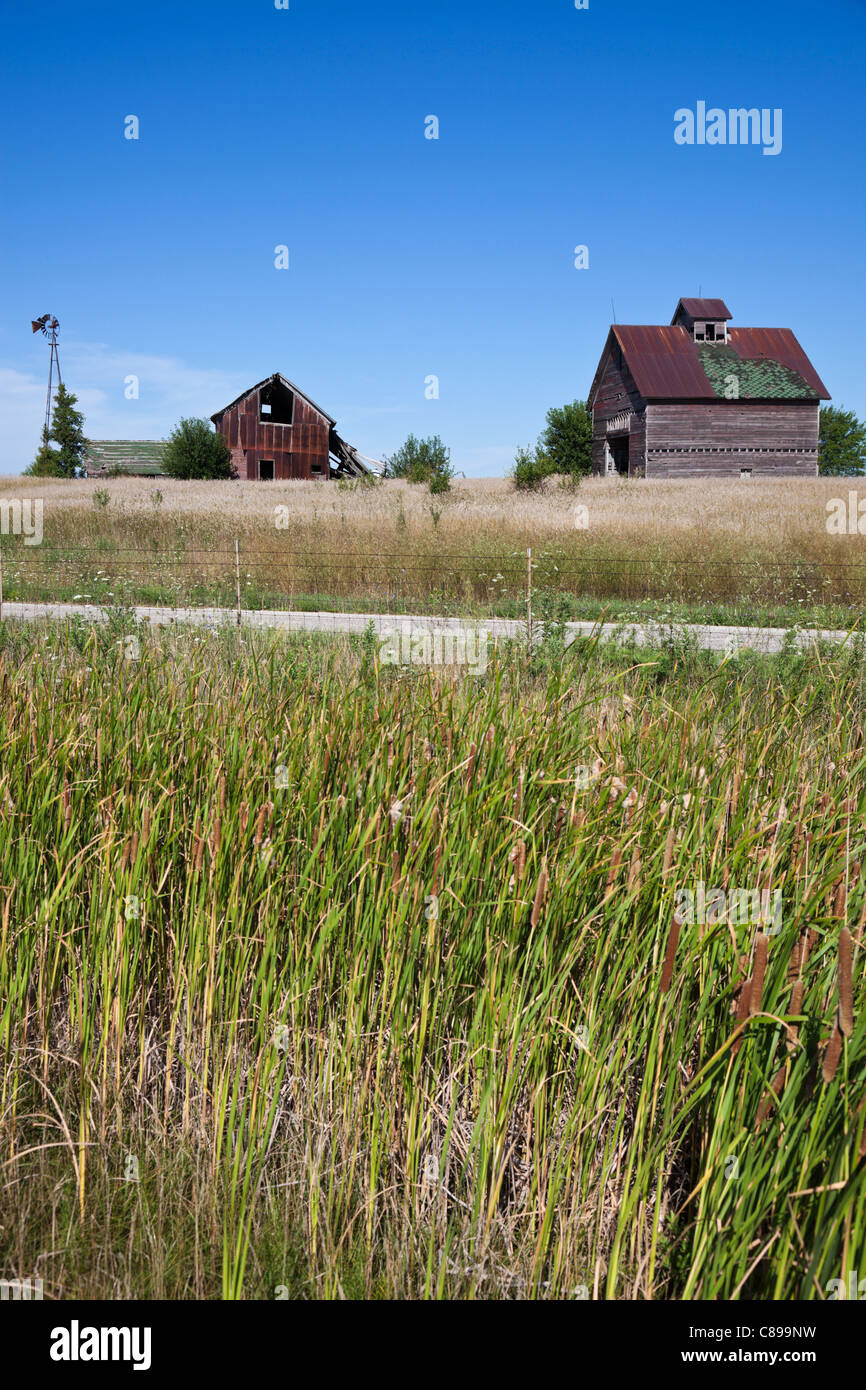 Old farm buildings in the middle of field Stock Photo Alamy