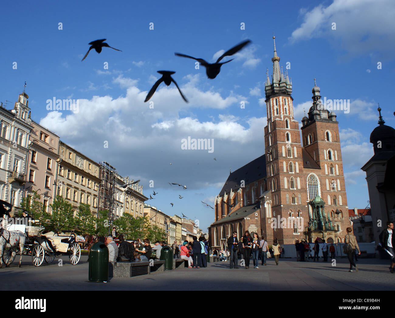 Pigeons flight on Main Square in Cracow with St. Marry's Basilica in the background Stock Photo