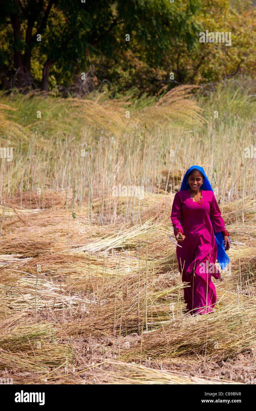Indian woman agricultural worker at farm at Sawai Madhopur near Ranthambore in Rajasthan, Northern India Stock Photo