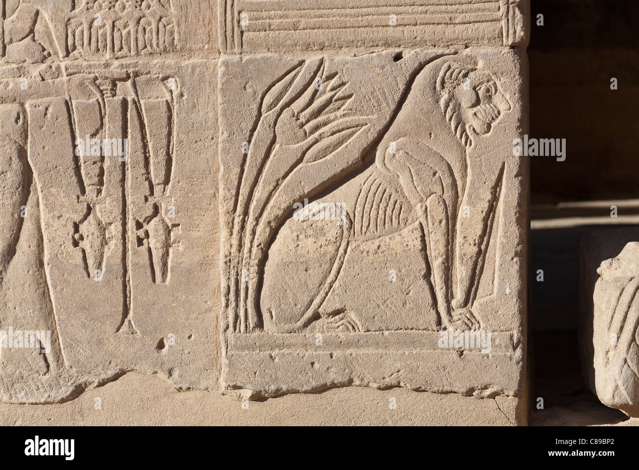Relief of Lion facing to right on gateway at the Temple of Hathor, Temple of Isis at Philae, Aglika Island, Aswan Upper Egypt Stock Photo