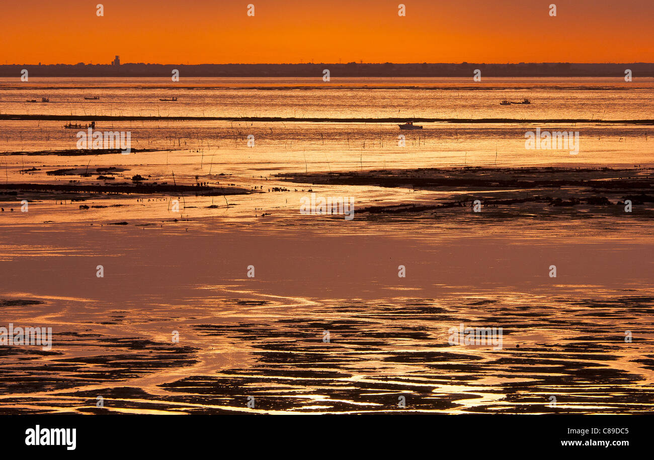 Daybreak at low tide Stock Photo