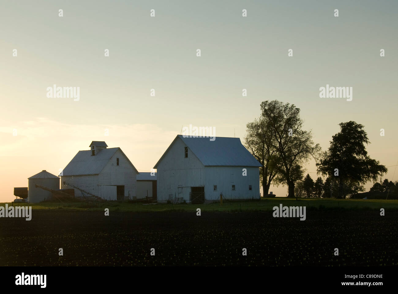 Farm buildings on prairie, near Champaign Urbana, Illinois, USA Stock