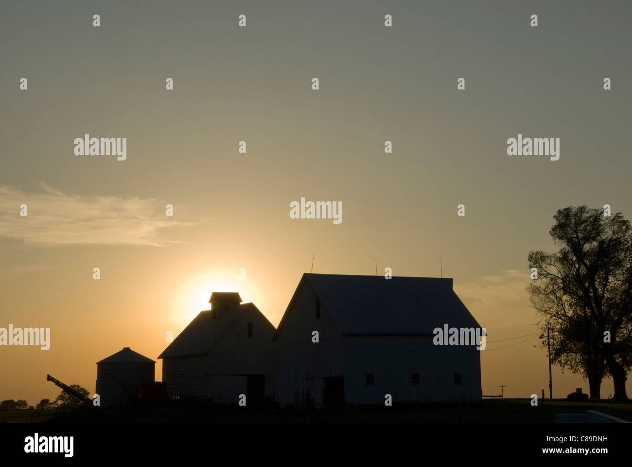 Farm buildings on prairie, near Champaign Urbana, Illinois, USA Stock