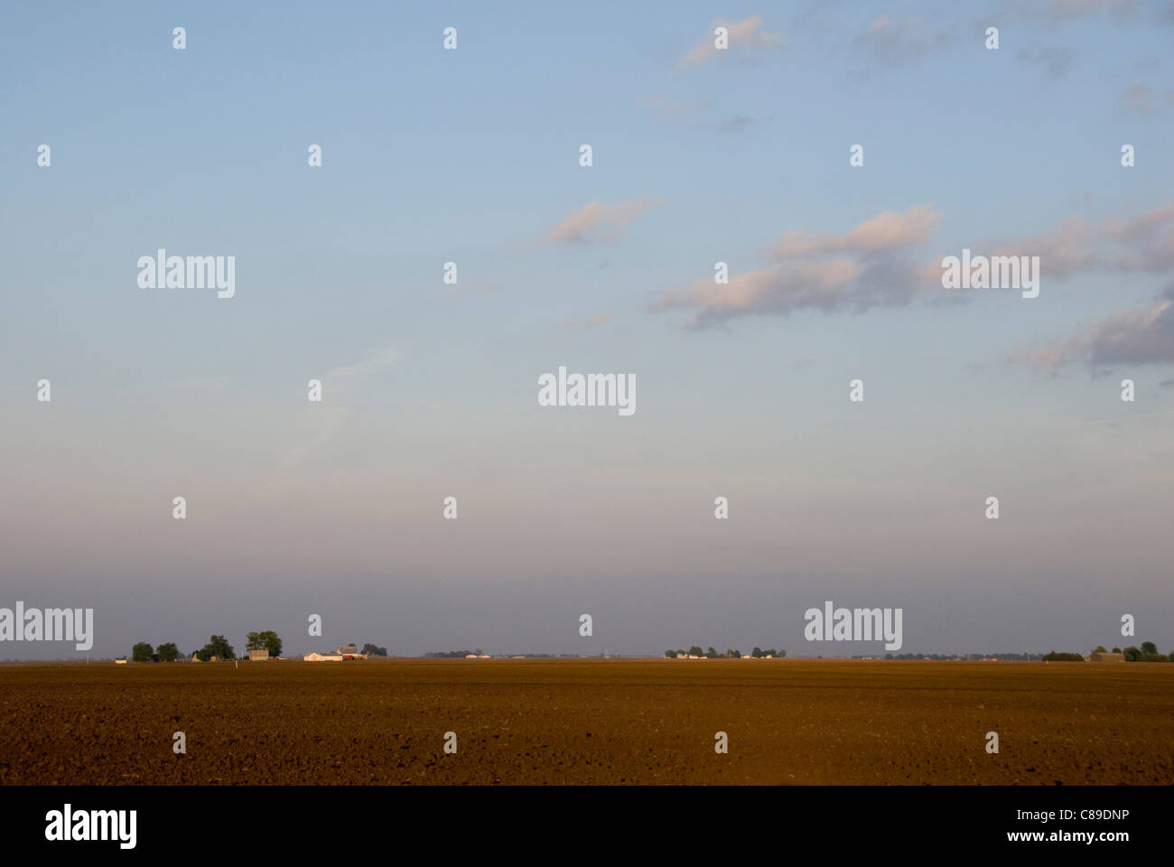 Farm buildings on prairie, near Champaign Urbana, Illinois, USA Stock