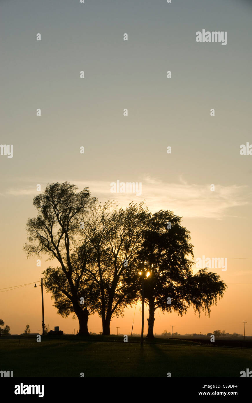 Farm buildings on prairie, near Champaign Urbana, Illinois, USA Stock