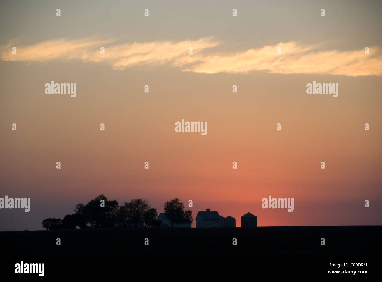 Farm buildings on prairie, near Champaign Urbana, Illinois, USA Stock
