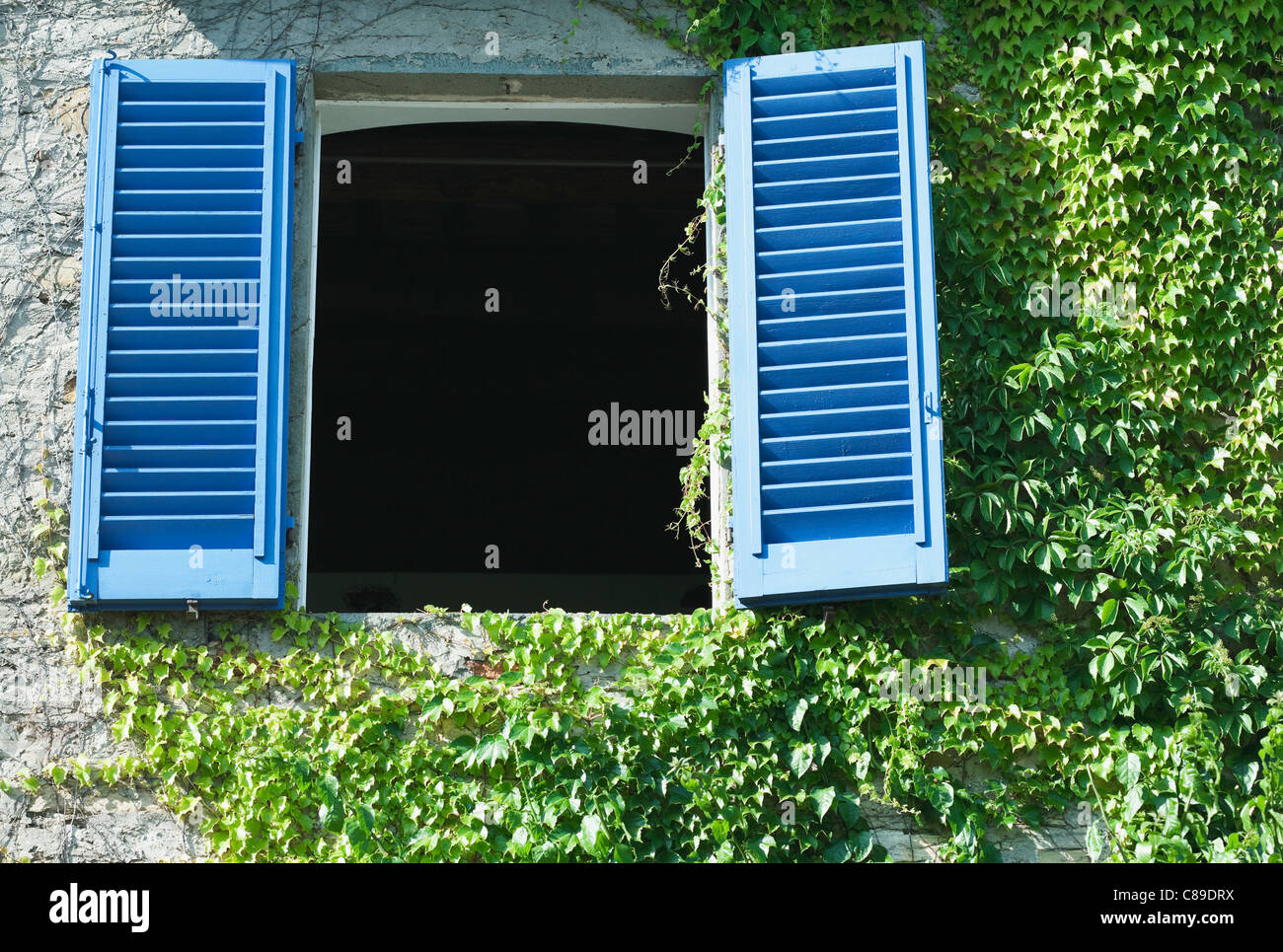 Italy, Tuscany, Open window with shutters and creepers growing on wall Stock Photo