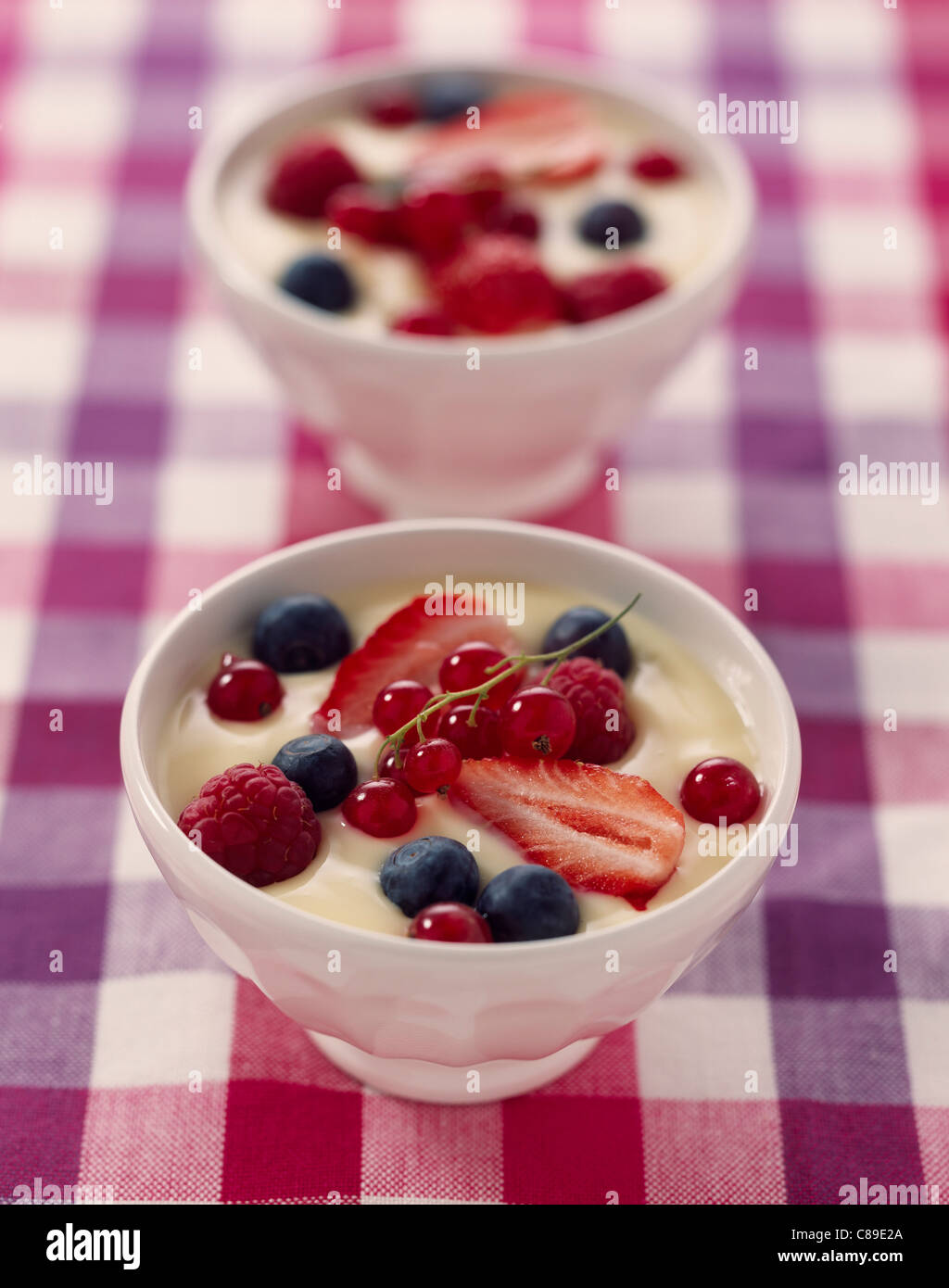 White chocolate milk jam with summer fruit Stock Photo