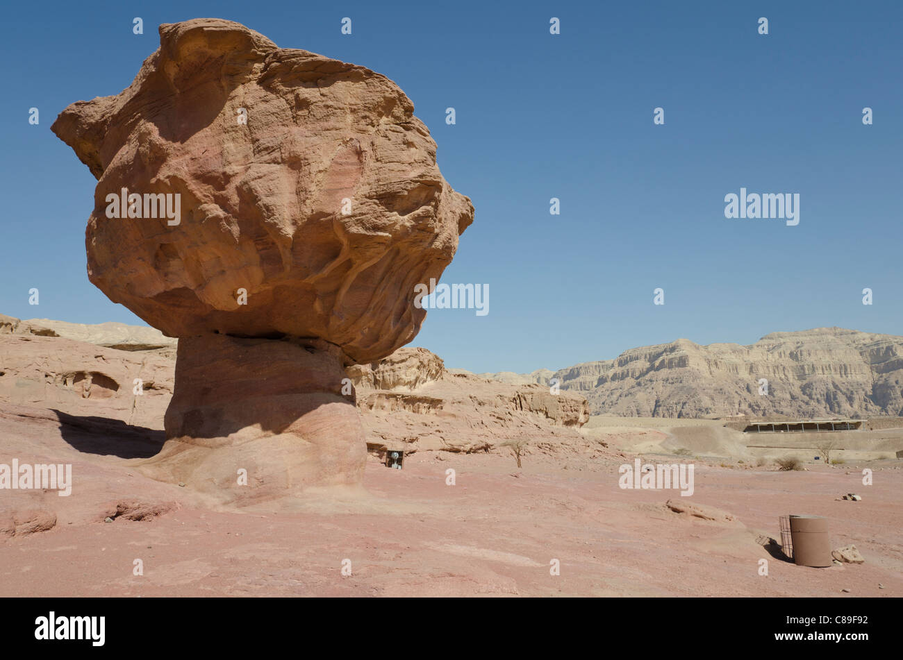 The mushroom rock. Timna Park. Arava valley. israel Stock Photo