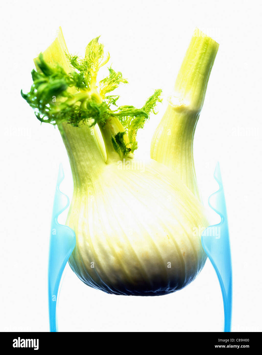 Bulb of fennel Stock Photo Alamy