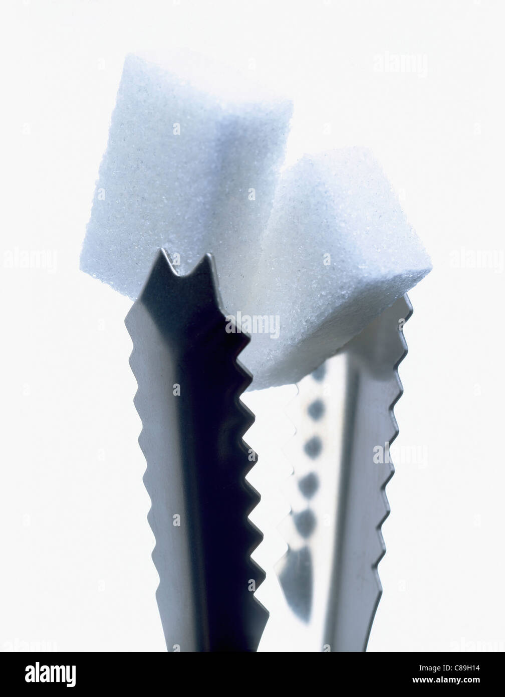 White sugar cube in sugar tongs Stock Photo Alamy
