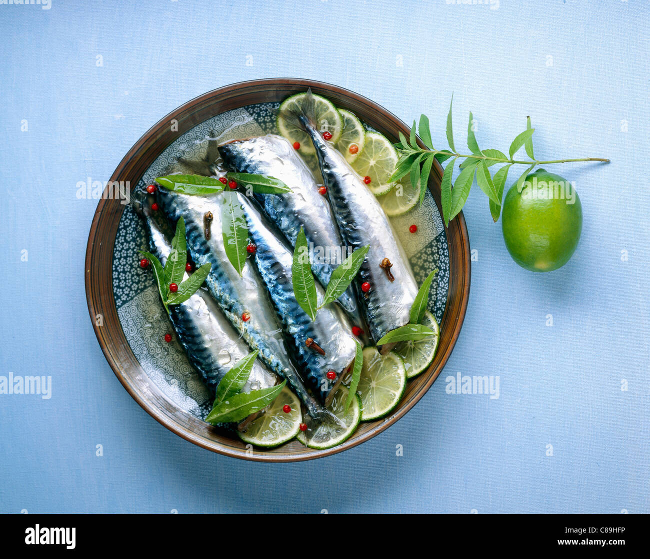 Mackerel in jelly Stock Photo Alamy