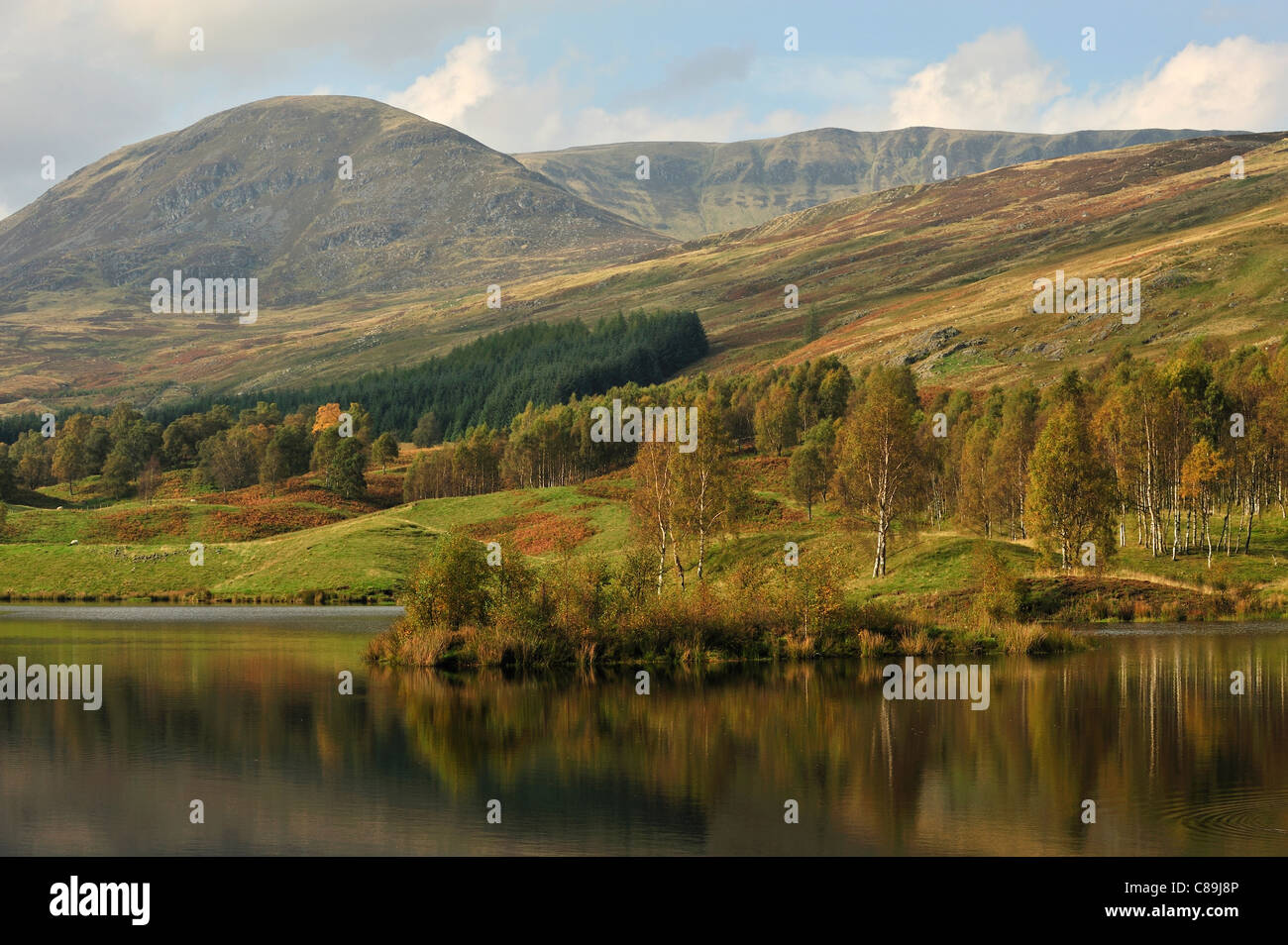 Glen Clova Autumn colours reflected in Loch Heath Stock Photo