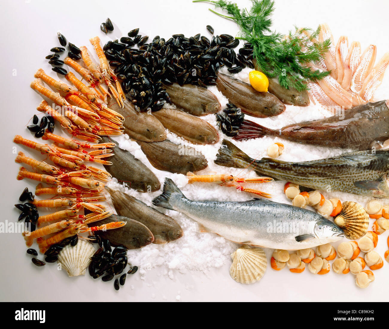 Fish and seafood Stock Photo Alamy