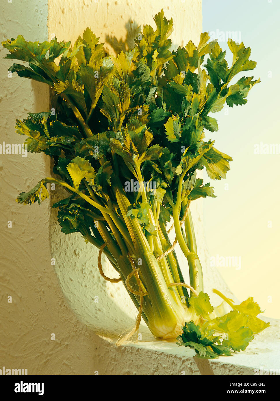 Stalks Of Celery High Resolution Stock Photography and Images Alamy