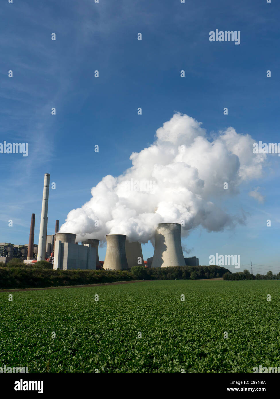 Cooling towers at Neurath brown coal fired power station in North Rhine Rhine-Westphalia in Germany Stock Photo