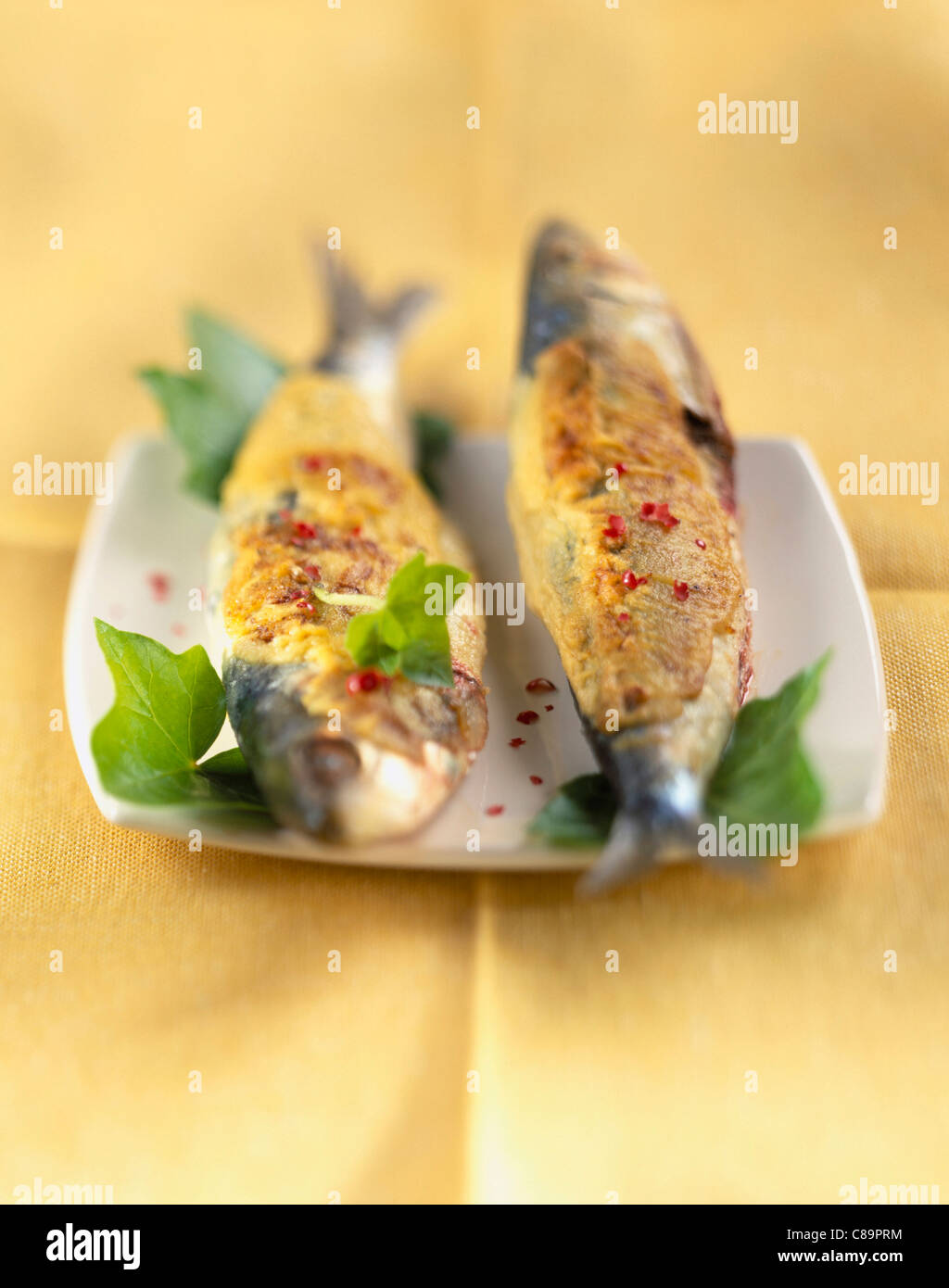 Sardines with mustard Stock Photo Alamy