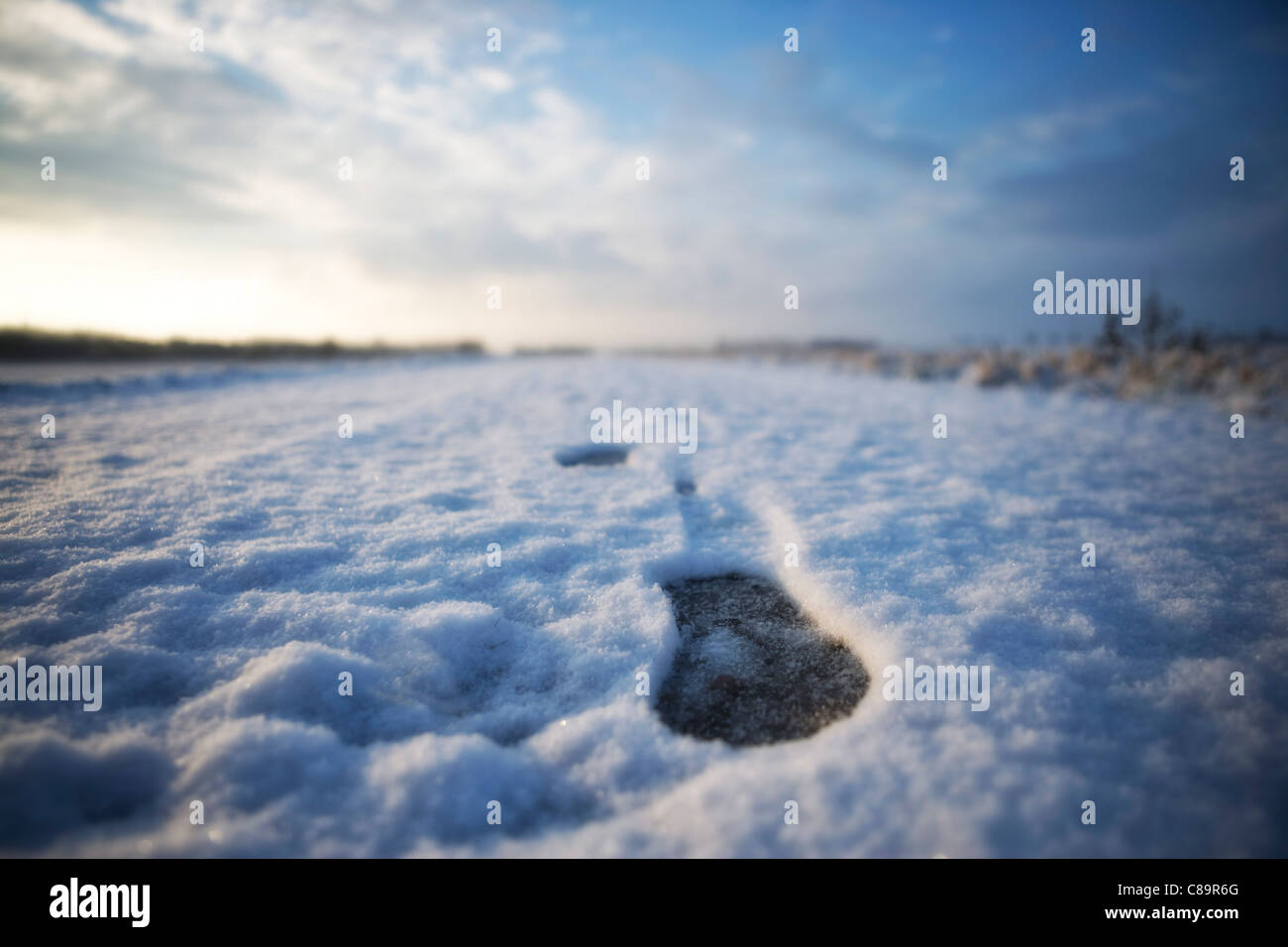 Germany, Close up of footstep in snow Stock Photo