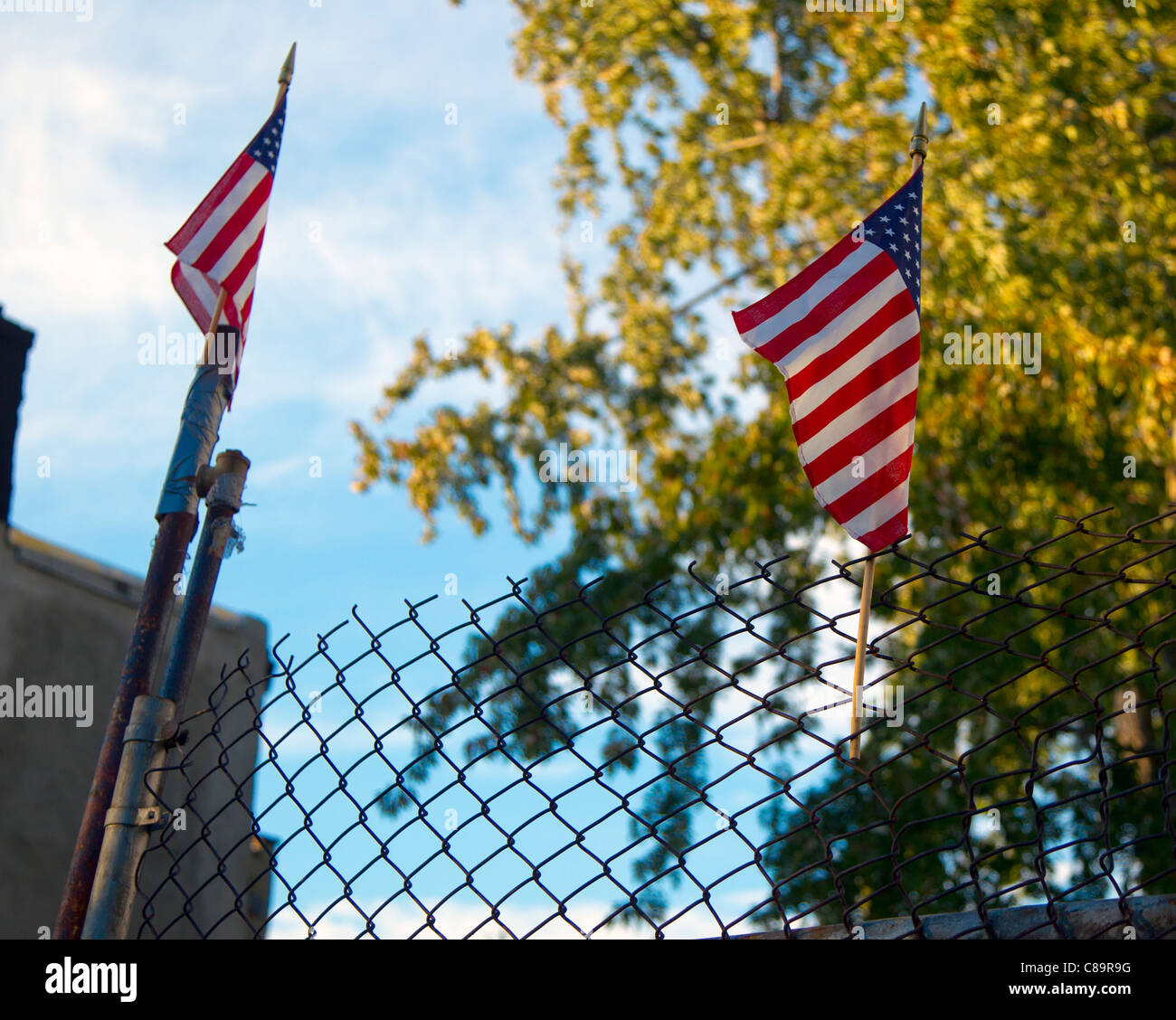 American flags on a fence in Brooklyn, New York Stock Photo