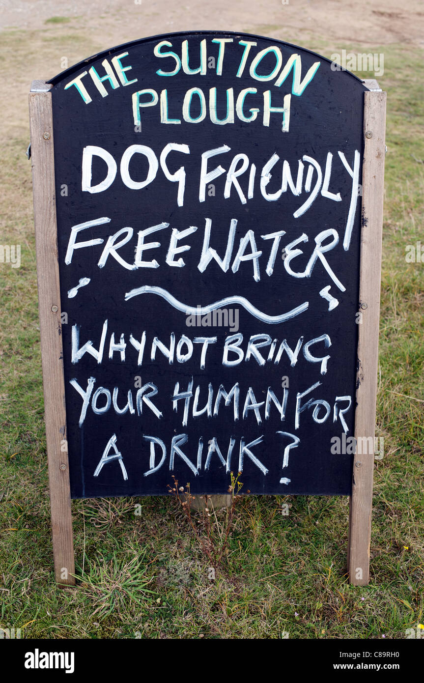 The Sutton Plough public house offering dogs free water if bringing owners for a drink Stock Photo