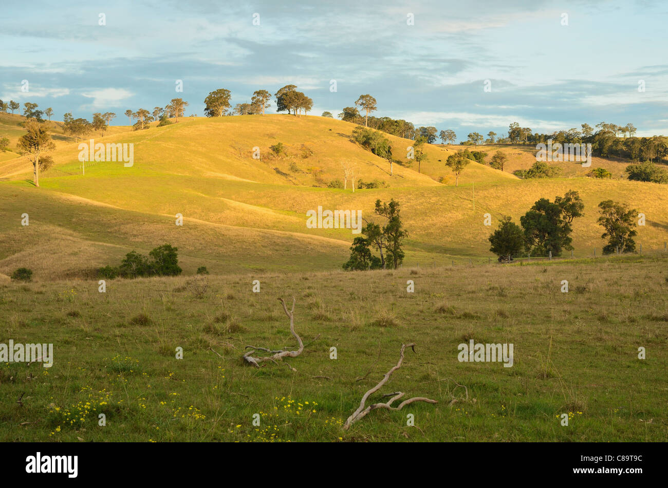Dungog australia hires stock photography and images Alamy