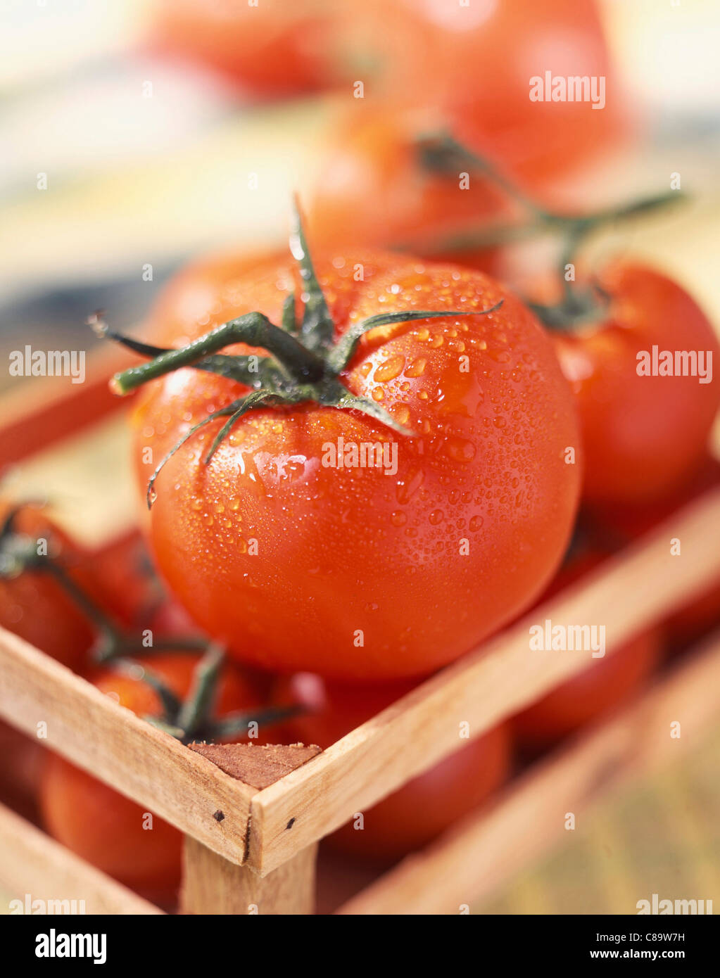 Small crate of tomatoes Stock Photo Alamy