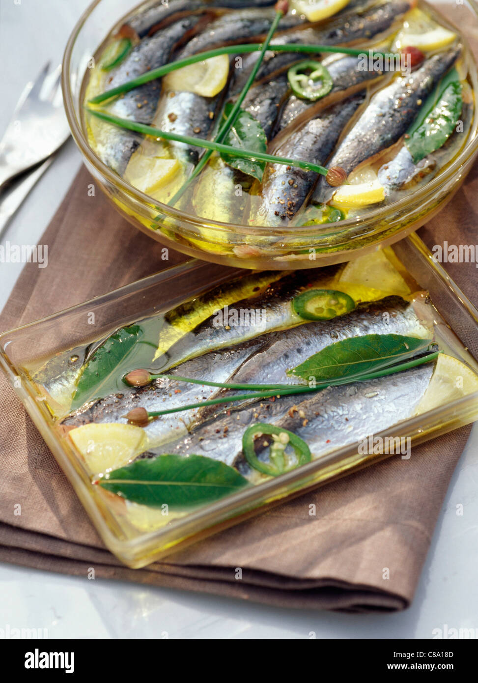 Sardines in oil Stock Photo Alamy
